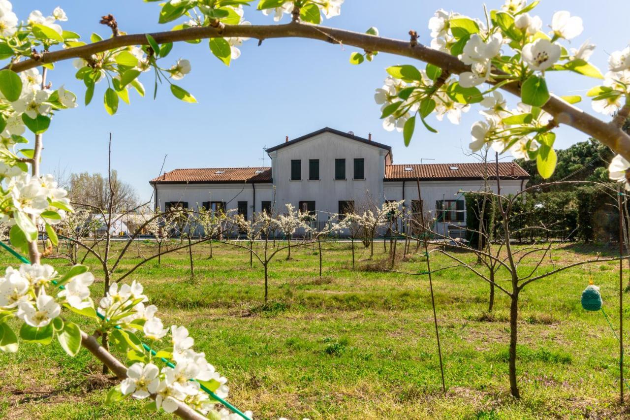 Agriturismo Ca' Baccan كافالّينو المظهر الخارجي الصورة