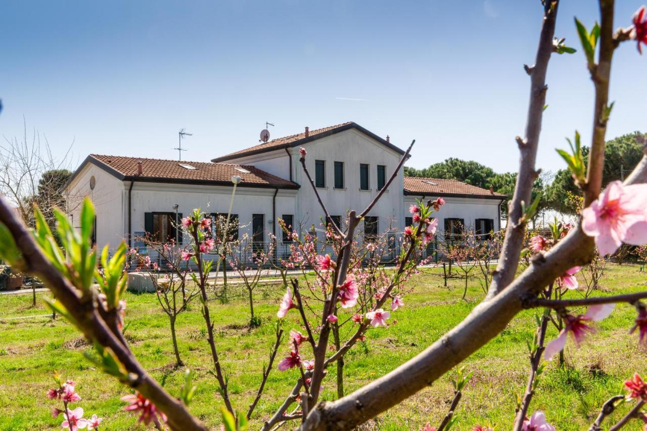 Agriturismo Ca' Baccan كافالّينو المظهر الخارجي الصورة